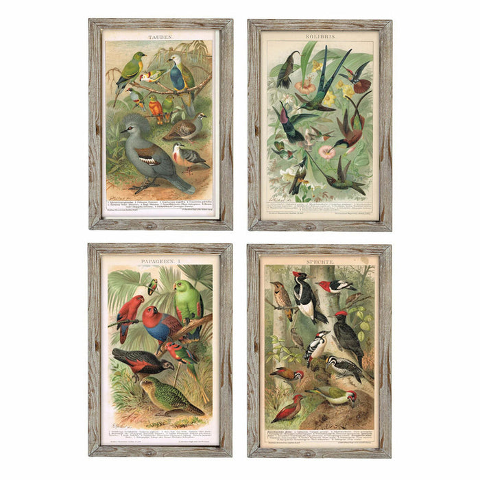 Bild DKD Home Decor Vögel (45 x 2 x 65 cm) (4 pcs)