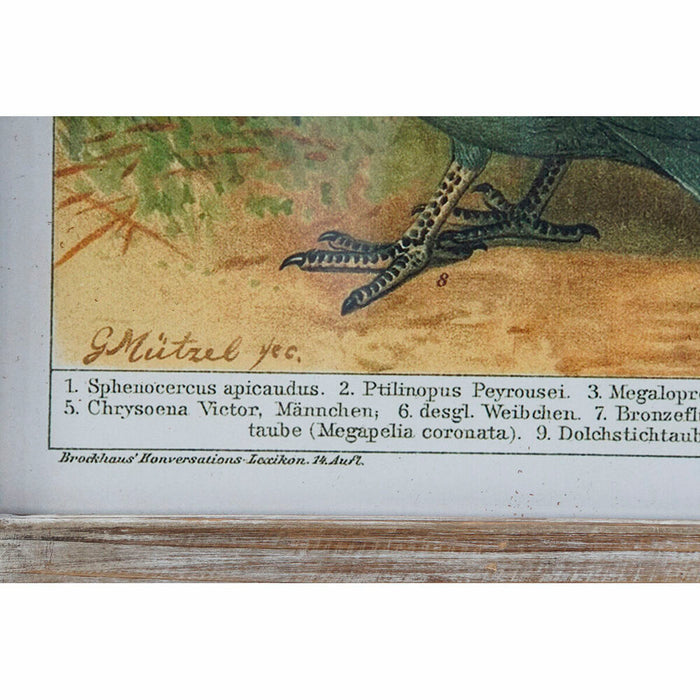 Bild DKD Home Decor Vögel (45 x 2 x 65 cm) (4 pcs)