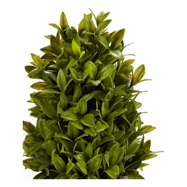 Dekorationspflanze Ibergarden (20 x 33 x 20 cm)