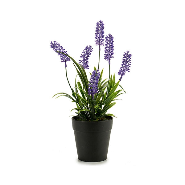 Dekorationspflanze Lavendel Kunststoff (16 x 32 x 16 cm)