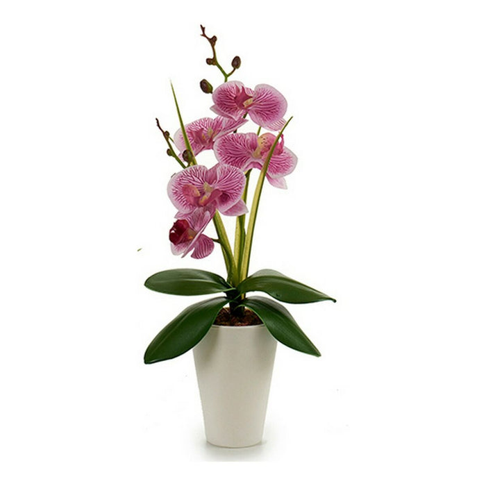 Dekorationspflanze Orchidee 8 x 35 x 14 cm Lila Rosa Weiß Kunststoff