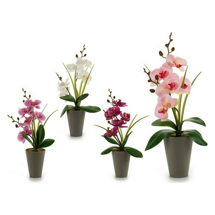 Dekorationspflanze Orchidee 8 x 35 x 14 cm Lila Rosa Weiß Kunststoff