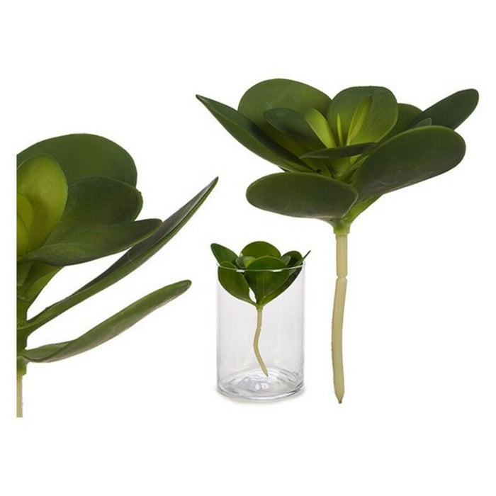 Dekorationspflanze kreisförmig Laken (16 x 25 x 16	 cm)