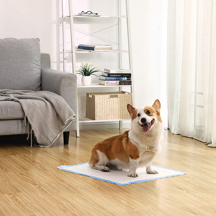 Trainingsunterlagen für Welpen, Puppy Training Pads, Welpentoilette, Welpen-Unterlagen, 60 x 60 cm, 100 Stück