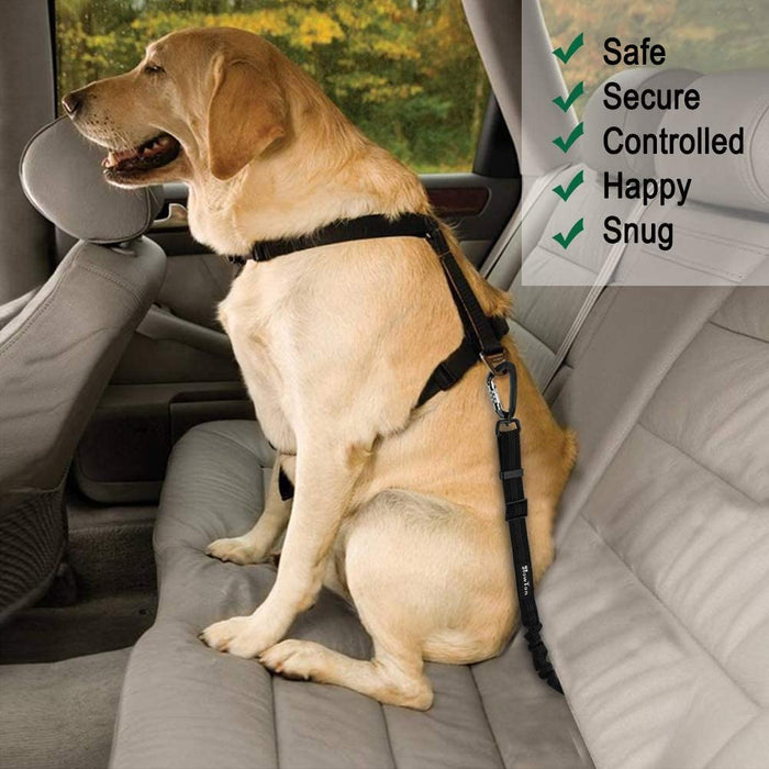 [2 Stück] Hunde Sicherheitsgurt, Einstellbar Hundesicherheitsgurt Sicherheitsgeschirr für Auto für alle Hunderassen Katzen& Autotypen, Schwarz