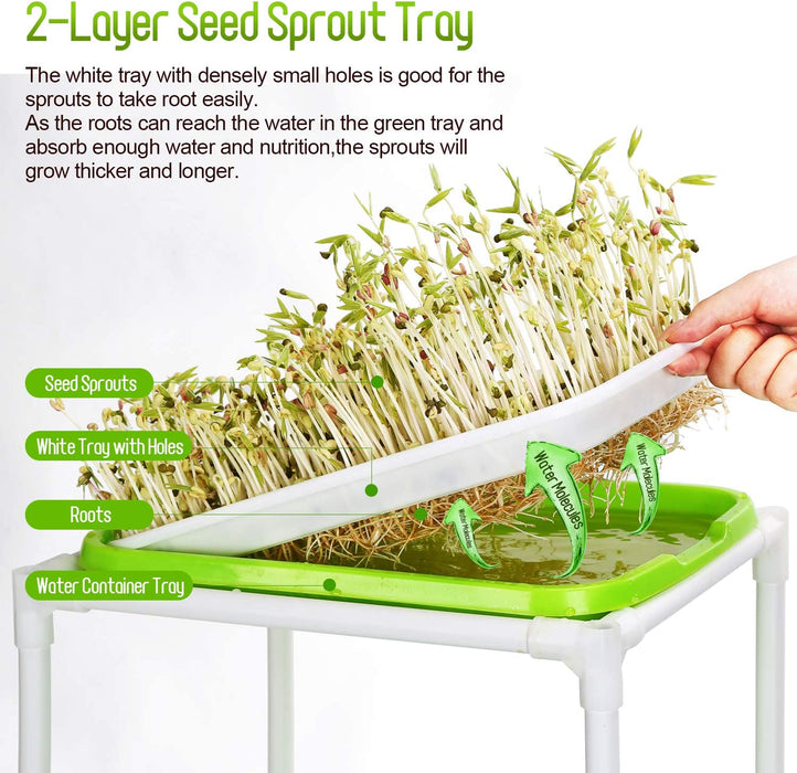 Seed Sprouter Tray Keimschale Sprossen, Keimschalen für Sprossen Seed Sprouter Tray BPA-freies mit 4-schichtigem Kunststoffregal Soil-Free Keimkiste