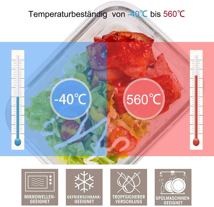 Lunchbox Bento Brotdose mit Lunchtasche/Frischhaltedosen Glas perfekt für Meal Prep - BPA frei für Home Küche oder den Gebrauch unterwegs(5 * 840ml)